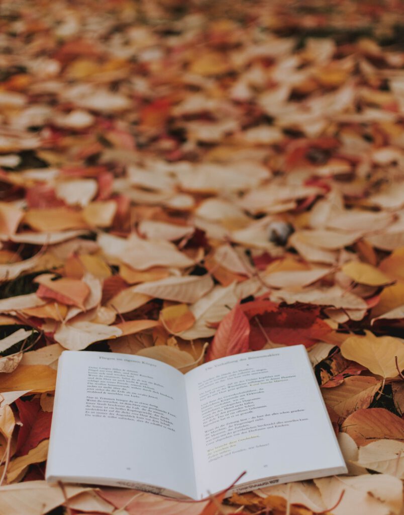Erholsamer Urlaub auch im Herbst